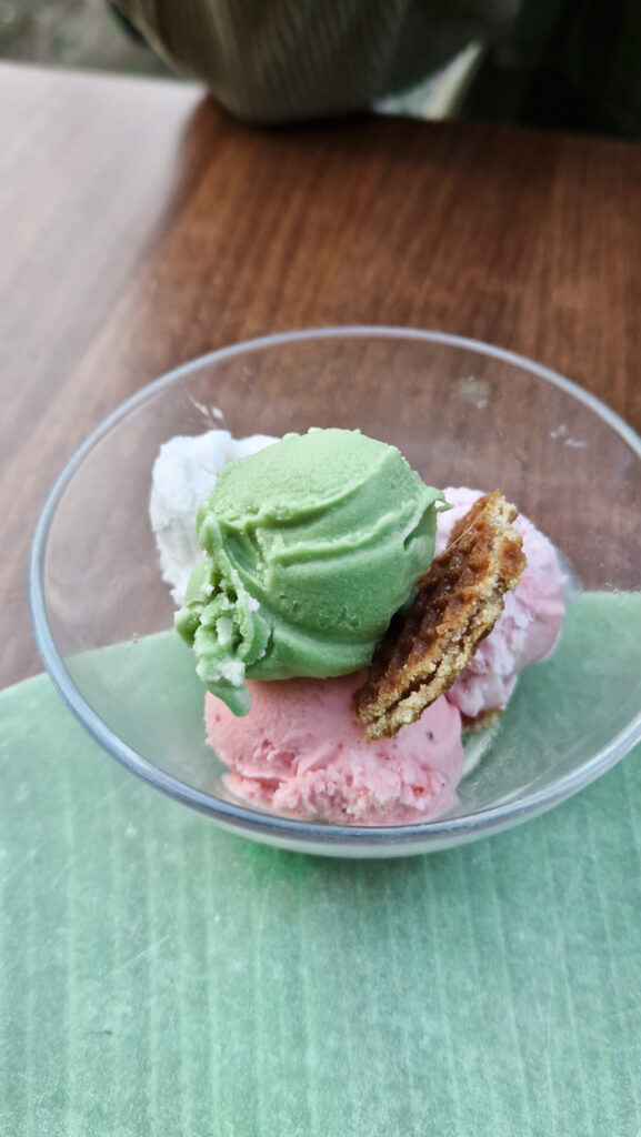 Matcha strawberry sesame ice cream De Kleine Ondeugd Rotterdam Anny Eats