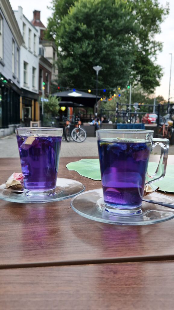 Thai Flower Magic Tea Butterfly Pea De Kleine Ondeugd Rotterdam Anny Eats