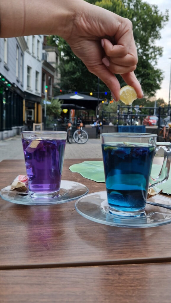 Thai magic flower tea butterfly pea De Kleine Ondeugd Rotterdam Anny Eats